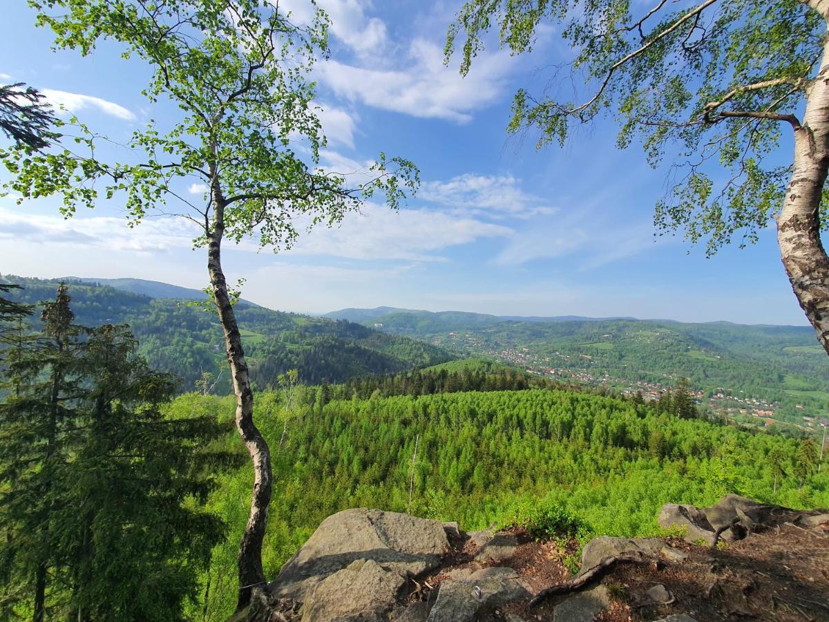 Apartamenty Ski & Fun Spokojna Wisła Eksteriør bilde